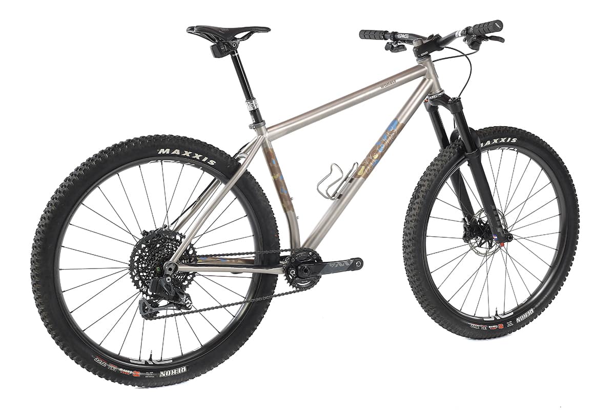 Best titanium 2024 mountain bike